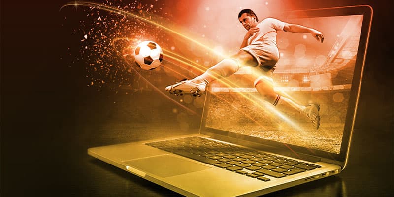 K8bet sân chơi cá cược uy tín bậc nhất