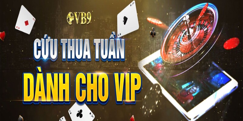 Dịch vụ chỉ có tại nhà cái vb9