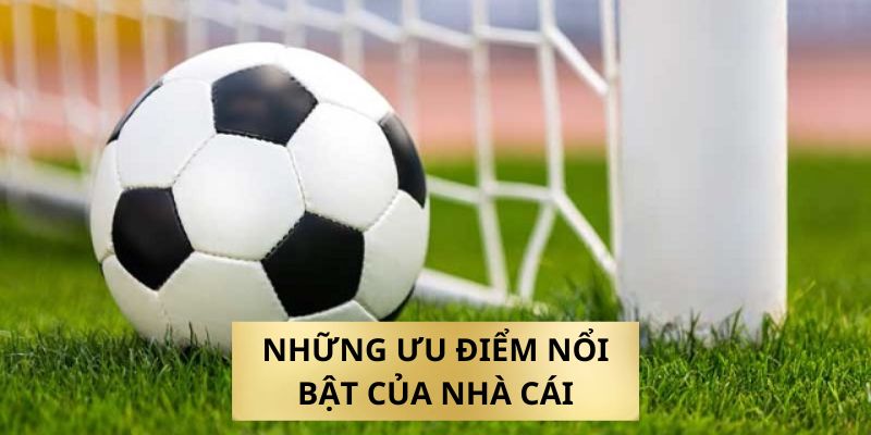 Sơ lược về giới thiệu về nhà cái M88vin